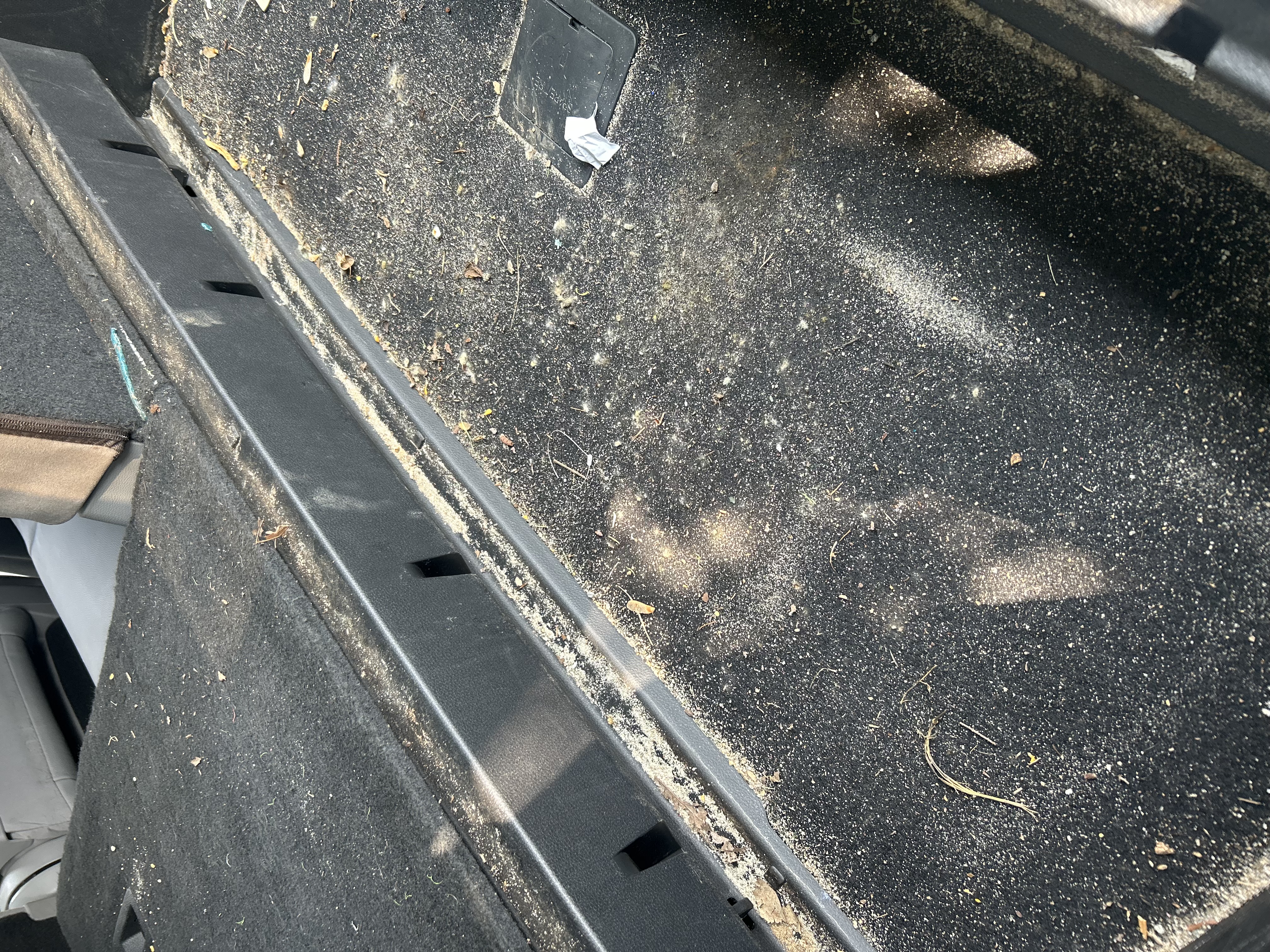 Minivan — Cup Holder — Before