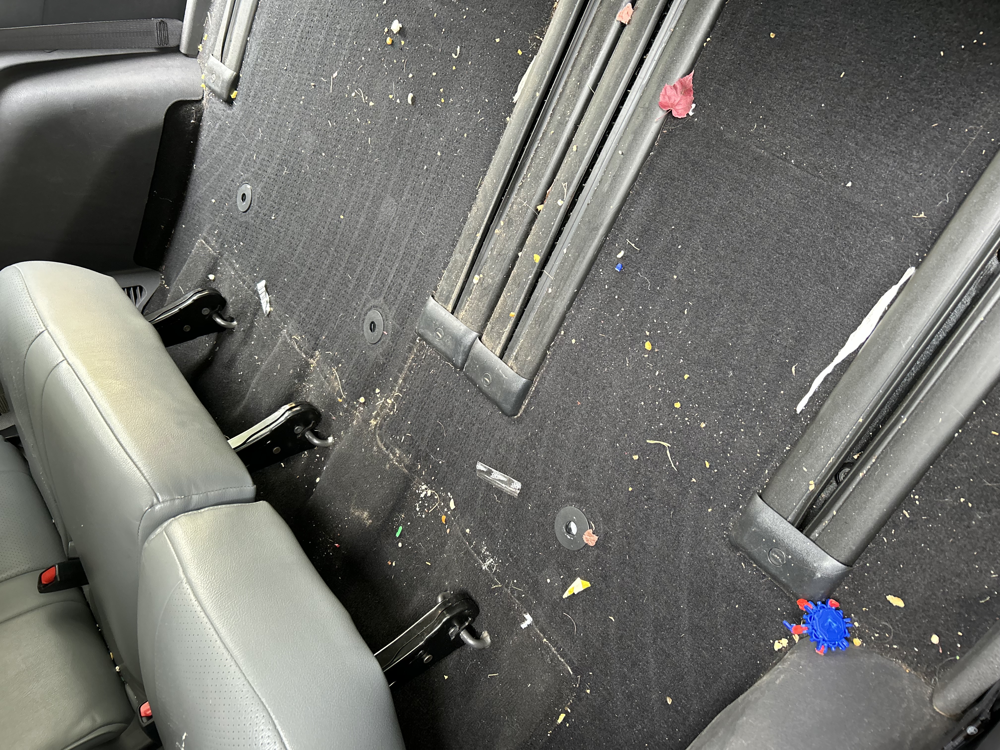 Minivan — Cargo Carpet — Before