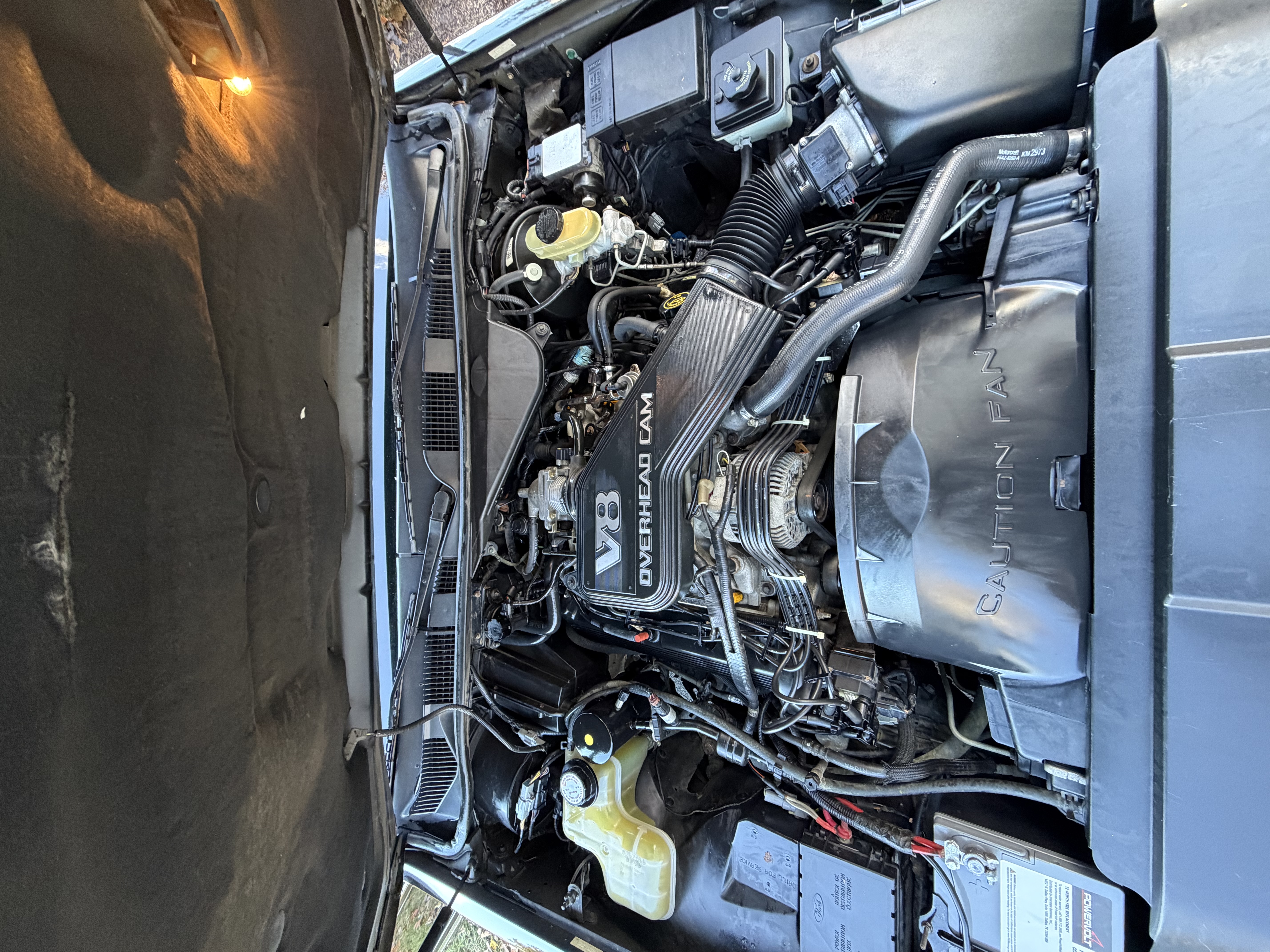 Lincoln Town Car — clean V8 engine bay after degrease