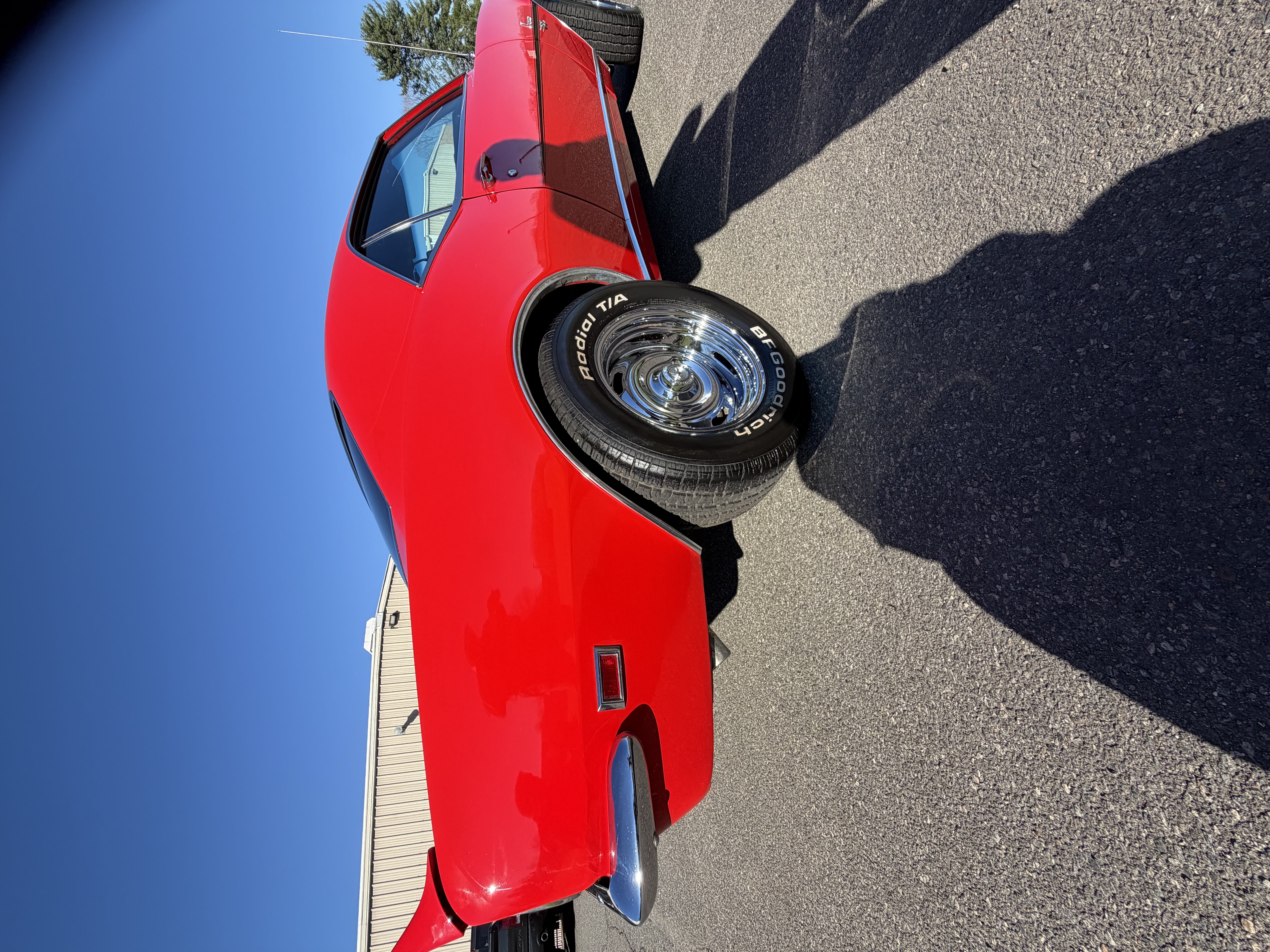Vehicle exterior — mirror shine after detail
