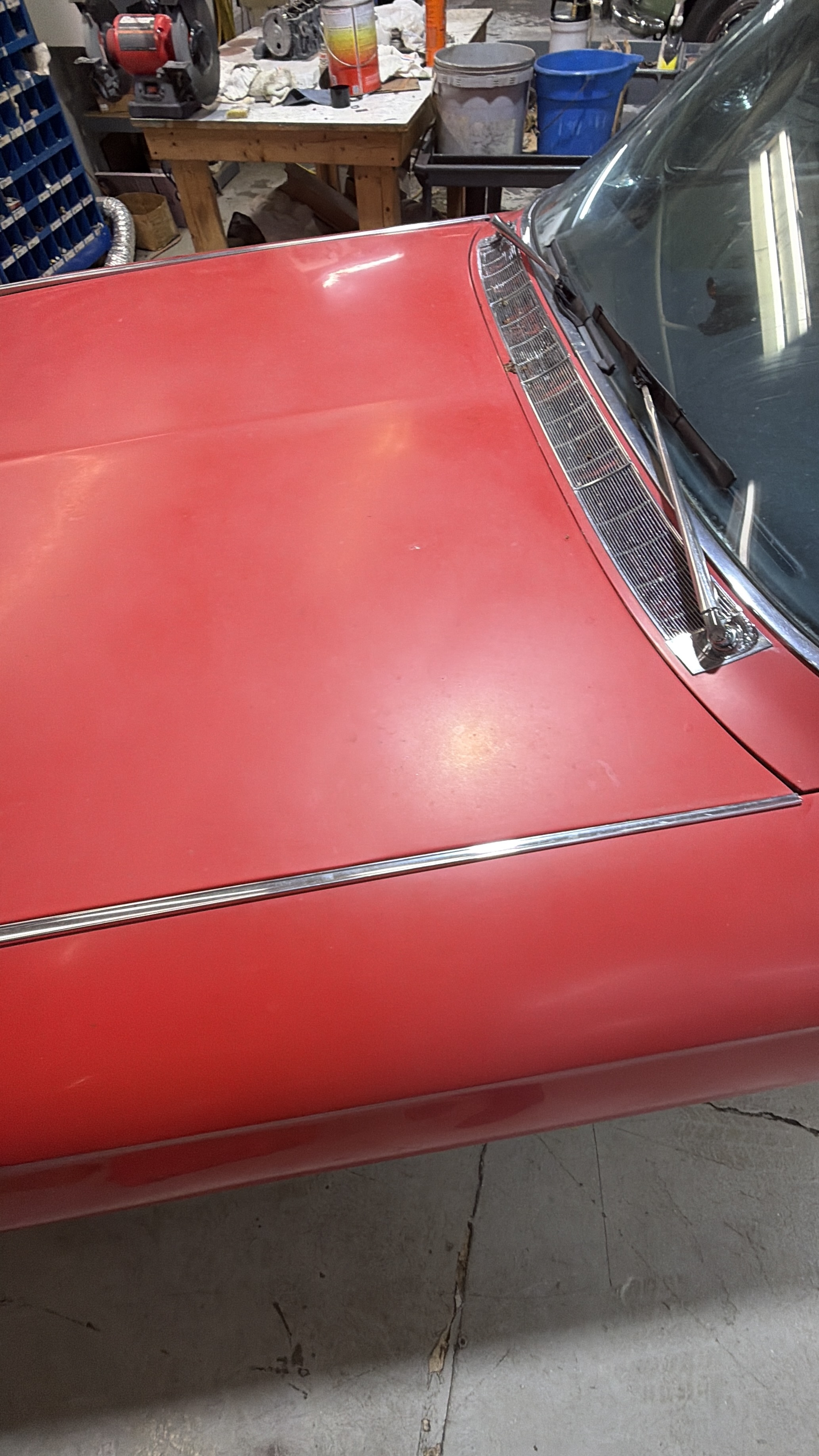 Classic Cadillac — paint correction in progress