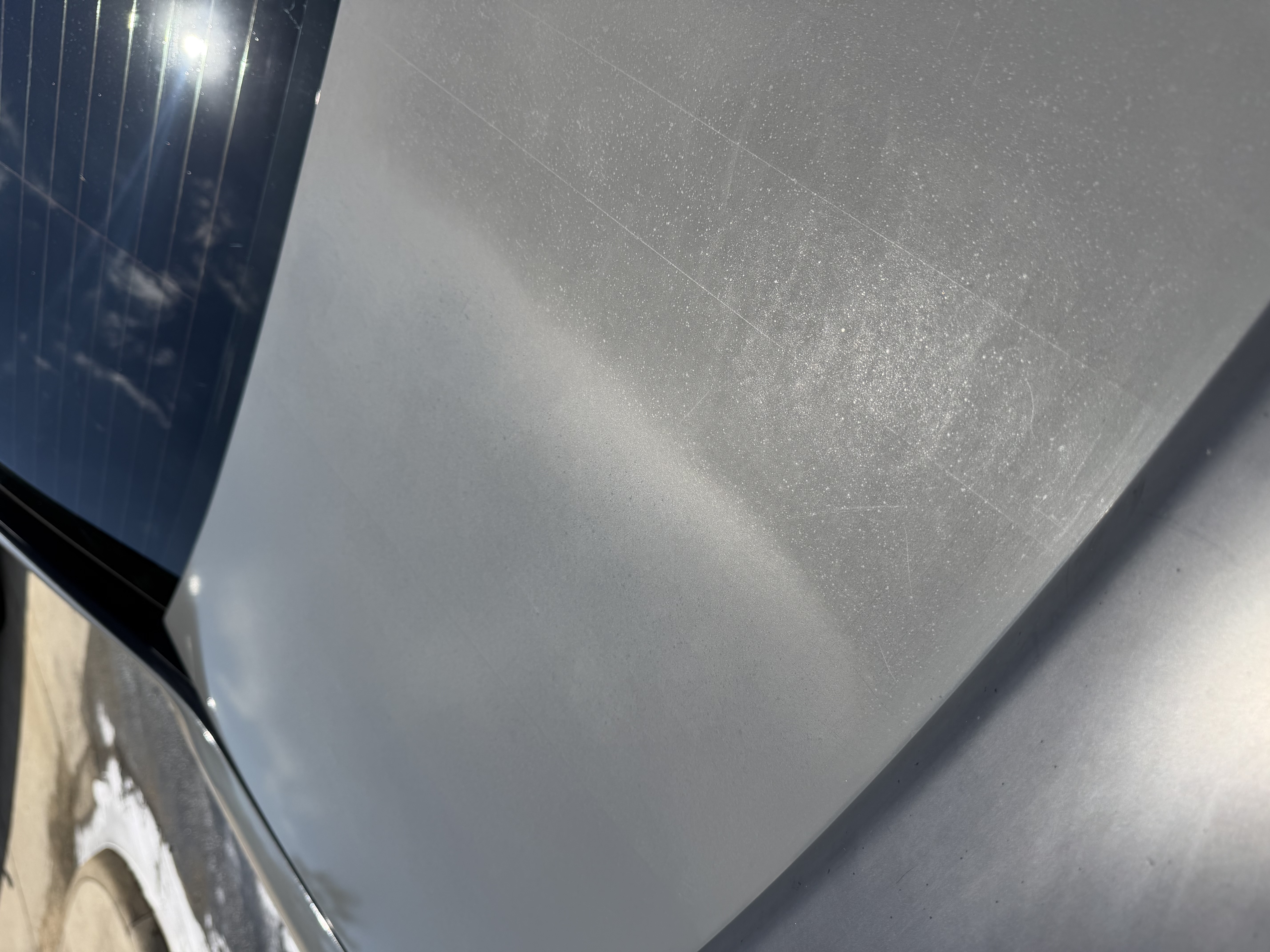 Vehicle exterior — gleaming after detail